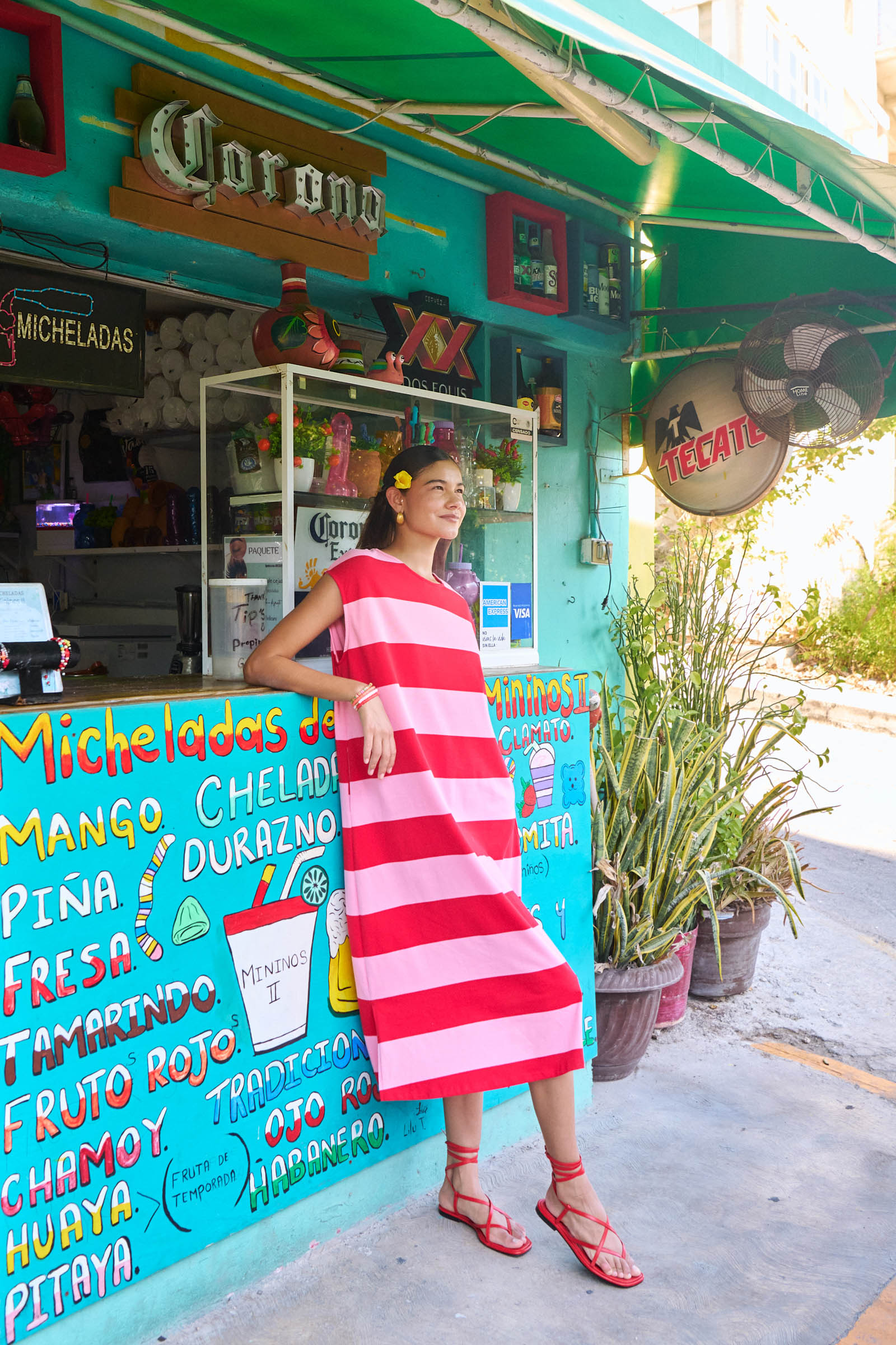 Jardin Stripe Tshirt Dress - Garnet
