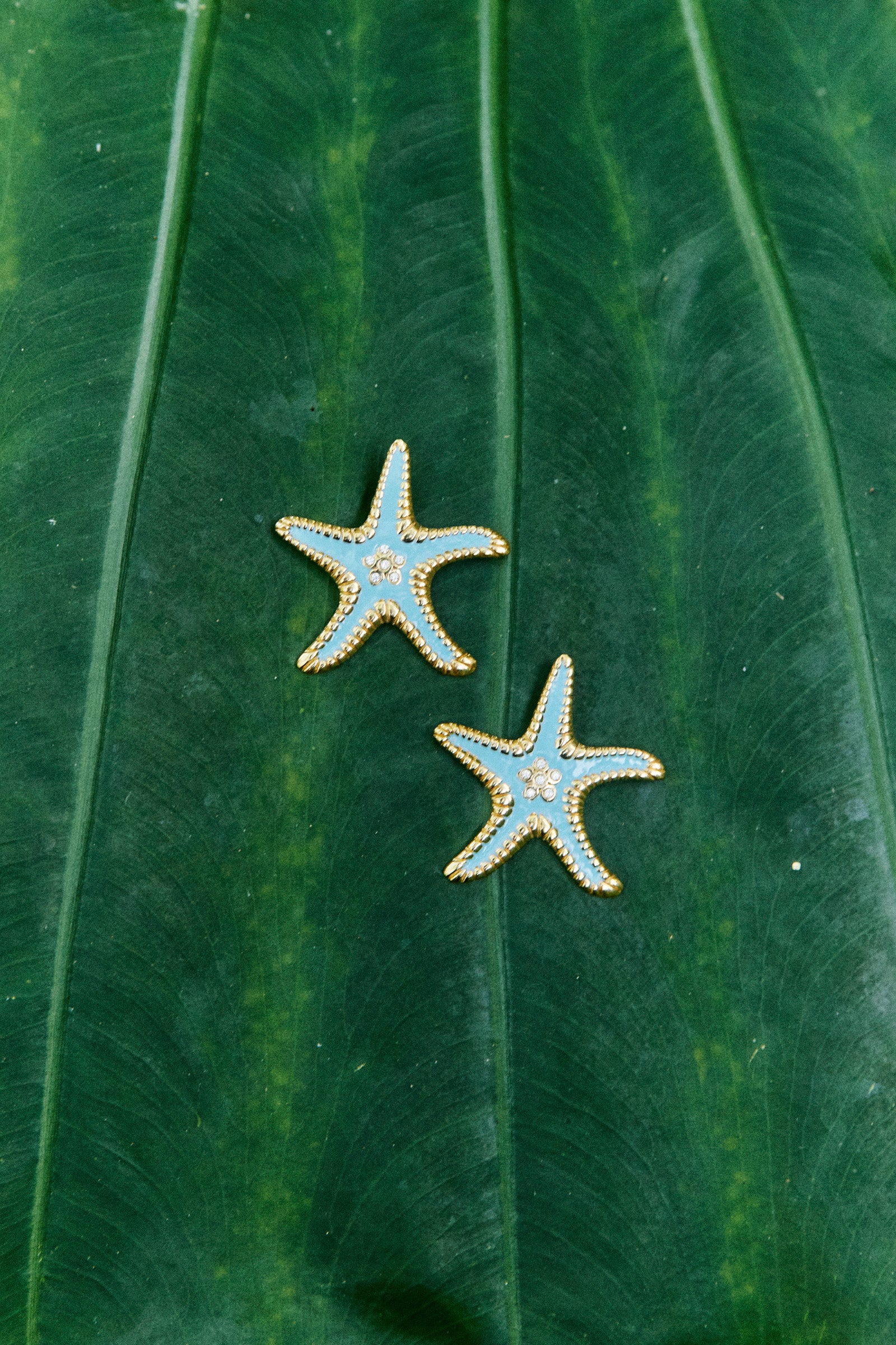 Crete Blue Earring - Starfish
